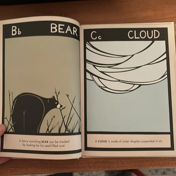 B is for Bear by Hannah Viano alphabet book PNW - Picture 4 of 8